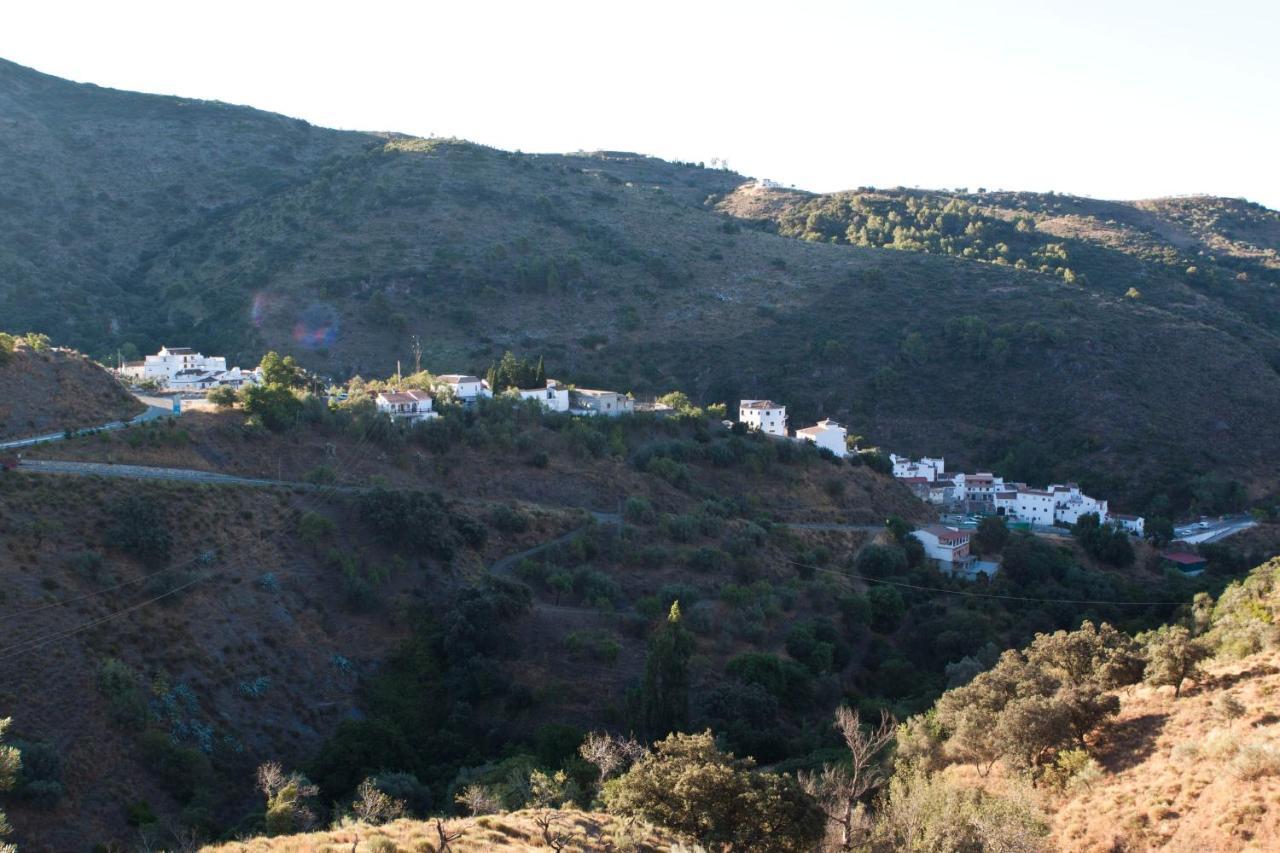 Finca Mariposa Apartamento Sedella Exterior foto