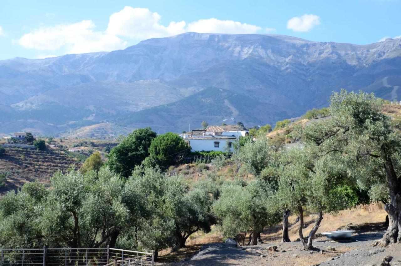 Finca Mariposa Apartamento Sedella Exterior foto