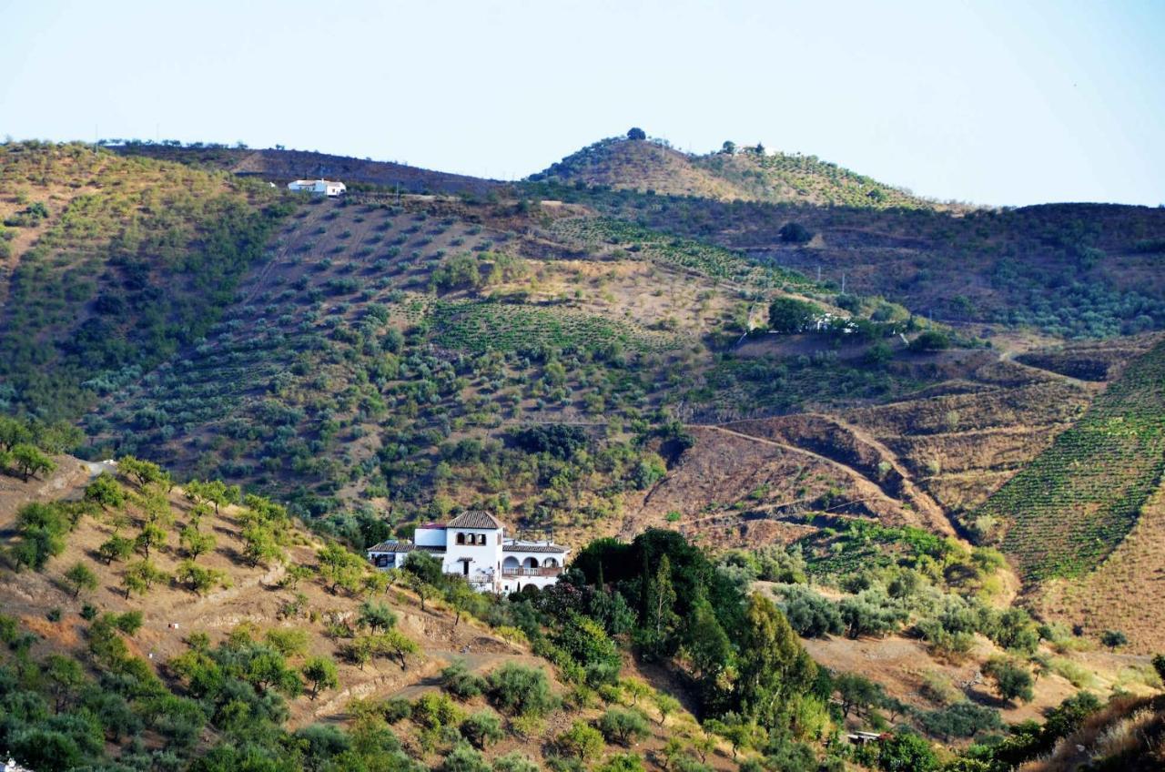 Finca Mariposa Apartamento Sedella Exterior foto