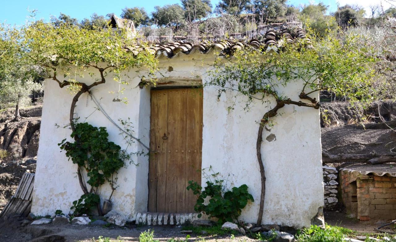 Finca Mariposa Apartamento Sedella Exterior foto